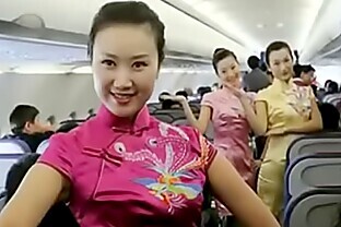 Stewardess